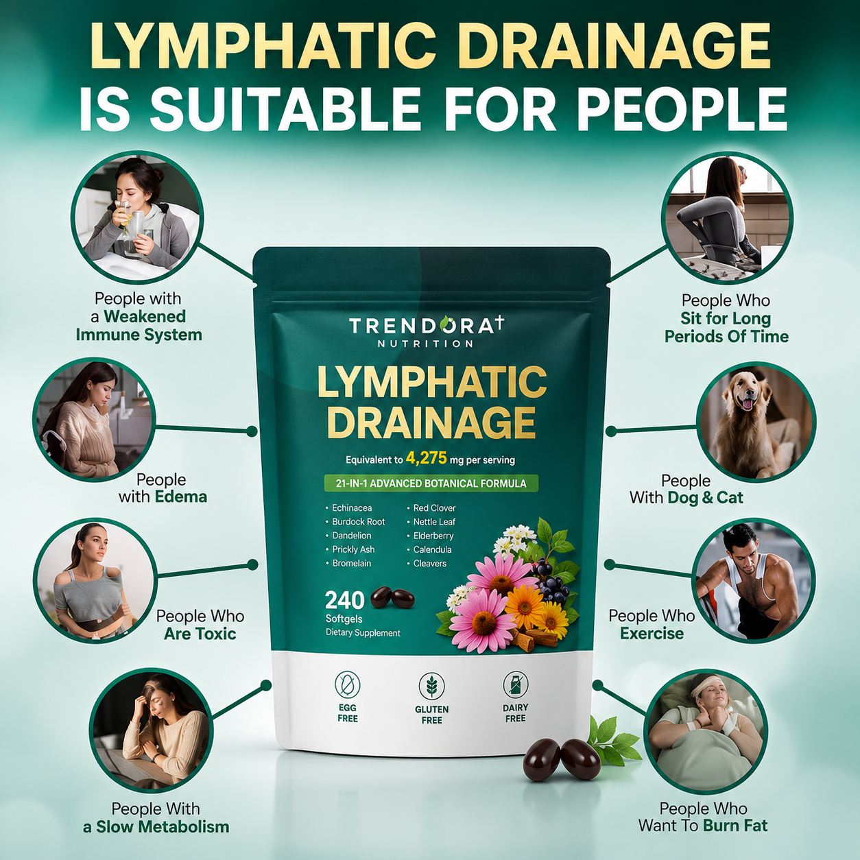 Trendora Nutrition Supports Lymphatic Circulation Supports Immune System & Metabolism